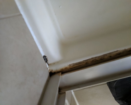 Crawl Space Encapsulation Ocean Gate NJ